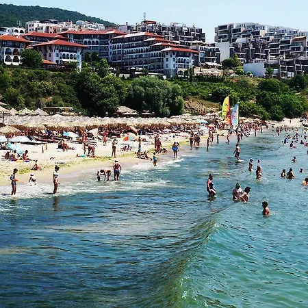 Dom-el Real Amphora *